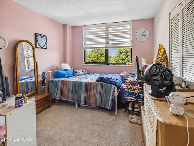 203 Regal Tower, Maryville, TN 37804 - bedroom with light carpet, a textured ceiling, and a closet
