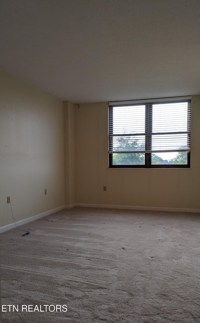 203 Regal Tower, Maryville, TN 37804 - photo 48
