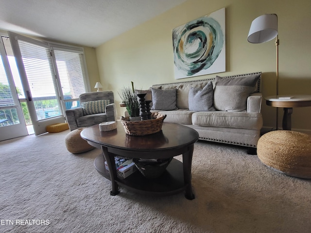203 Regal Tower, Maryville, TN 37804 - photo 30