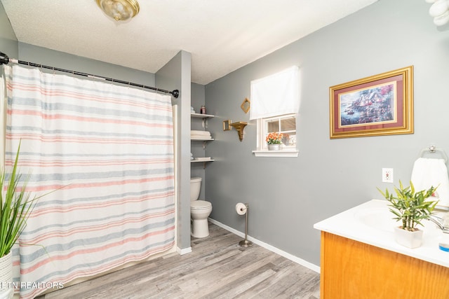 410 Railey Ln, Huntsville, TN 37756 - bathroom with wood finished floors, toilet, vanity, baseboards, and curtained shower