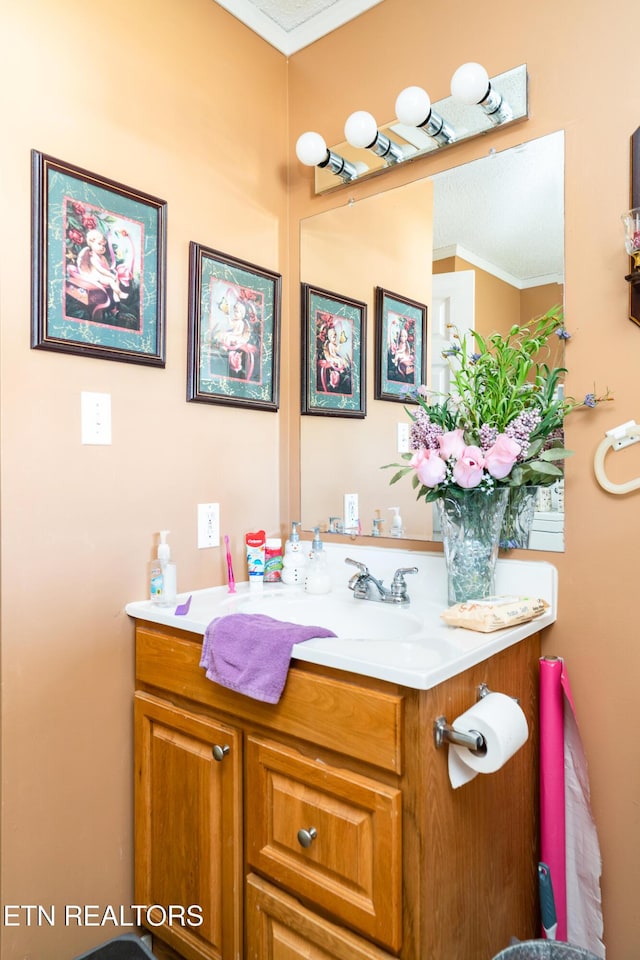 410 Railey Ln, Huntsville, TN 37756 - bathroom with vanity and ornamental molding