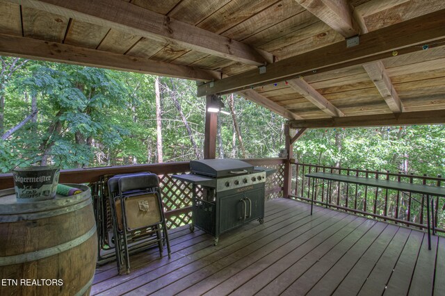 630 Old Furnace Rd, Tellico Plains, TN 37385 - photo 23