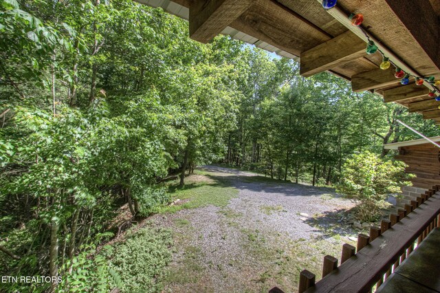 630 Old Furnace Rd, Tellico Plains, TN 37385 - photo 25