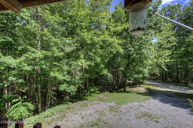 630 Old Furnace Rd, Tellico Plains, TN 37385 - photo 26