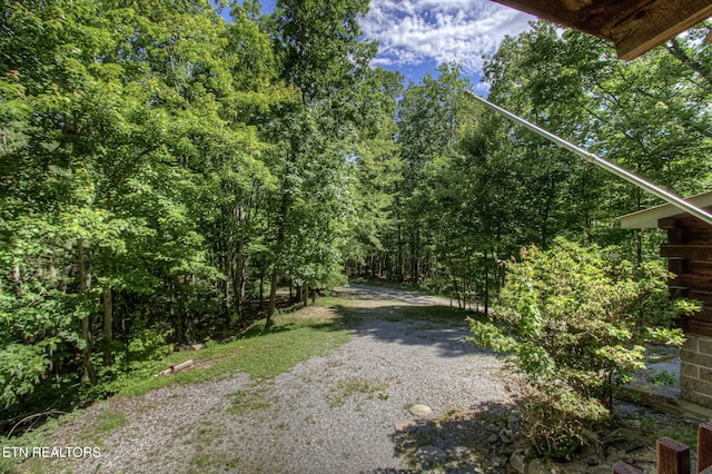630 Old Furnace Rd, Tellico Plains, TN 37385 - photo 27