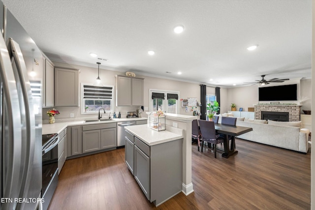 2516 Lemon Berry St, Knoxville, TN 37932 - kitchen with gray cabinets, stainless steel appliances, a sink, ceiling fan, and healthy amount of natural light