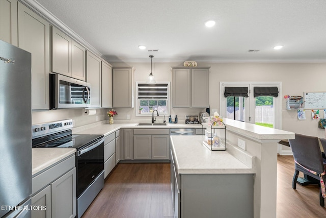 2516 Lemon Berry St, Knoxville, TN 37932 - kitchen featuring appliances with stainless steel finishes, gray cabinetry, a sink, light countertops, and crown molding