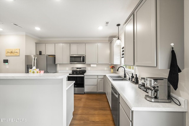 2516 Lemon Berry St, Knoxville, TN 37932 - kitchen featuring appliances with stainless steel finishes, crown molding, a sink, gray cabinetry, and light countertops