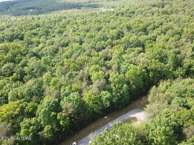Hawks Bluff Rd, Spencer, TN 38585
