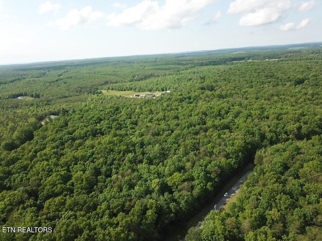 Hawks Bluff Rd, Spencer, TN 38585