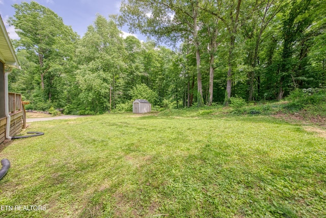 9212 Burchfield Dr, Oak Ridge, TN 37830 - photo 32