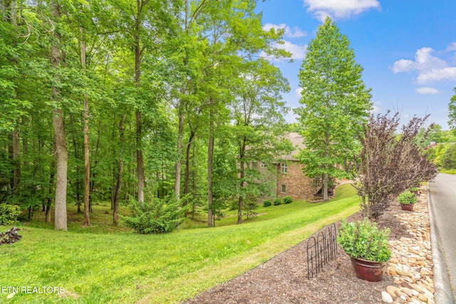 111 Winchester Cir, Oak Ridge, TN 37830 - view of grassy yard