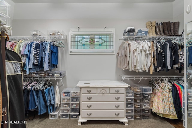 111 Winchester Cir, Oak Ridge, TN 37830 - spacious closet with carpet flooring
