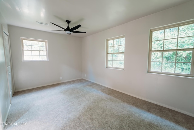 1799 Baker Hwy, Huntsville, TN 37756 - unfurnished room with plenty of natural light, a ceiling fan, light carpet, and baseboards