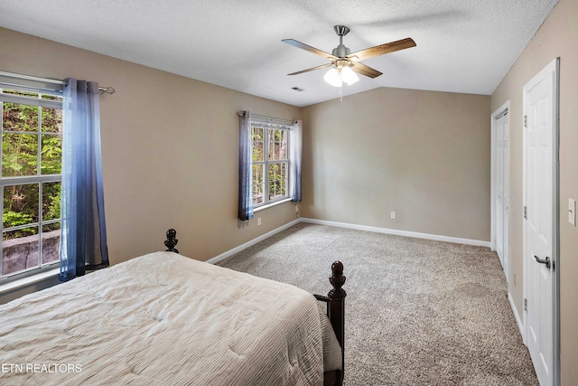 1316 Mountain Meadows Way, Sevierville, TN 37862 - carpeted bedroom featuring multiple windows, baseboards, ceiling fan, and a textured ceiling