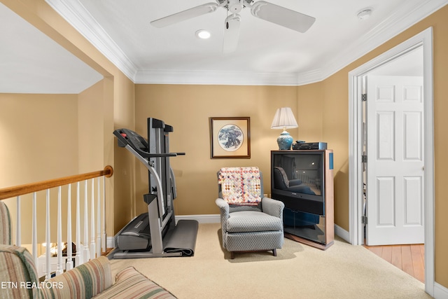 12311 Willow Ridge Ln, Farragut, TN 37934 - exercise area with carpet floors, a ceiling fan, baseboards, and crown molding