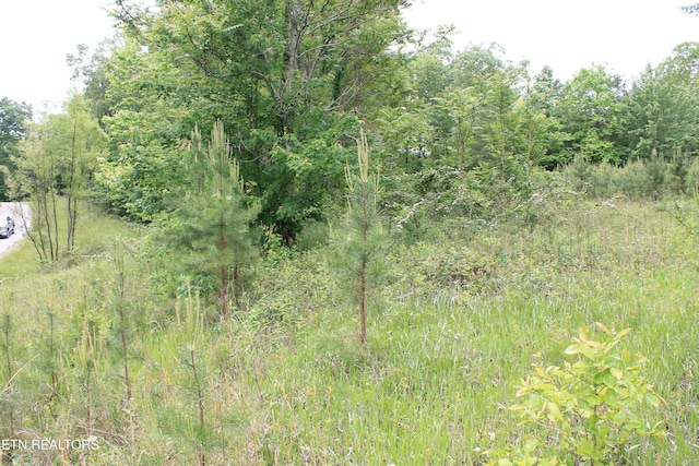 Dulog Trl, Jamestown, TN 38556