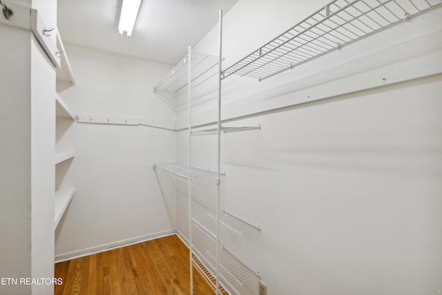 7613 Luscombe Dr, Knoxville, TN 37919 - walk in closet with wood finished floors