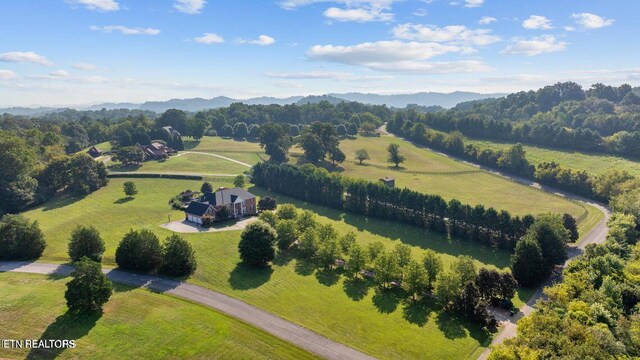 2120 Scott Ln, Knoxville, TN 37922 - photo 2