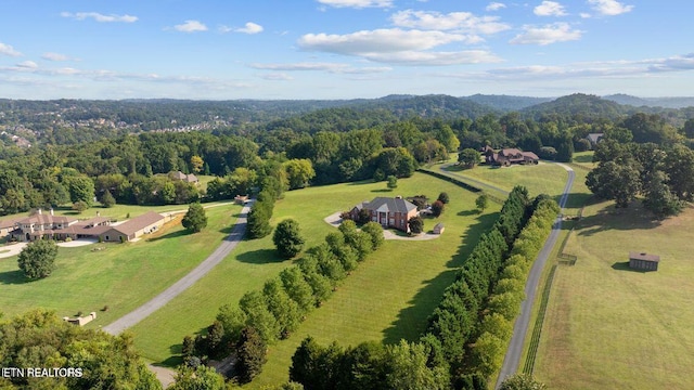 2120 Scott Ln, Knoxville, TN 37922 - photo 3