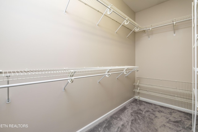 1025 Ree Way Unit 20, Knoxville, TN 37909 - walk in closet featuring carpet flooring