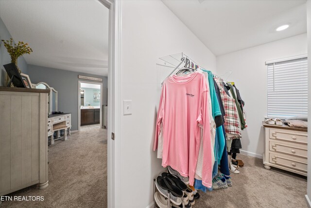 9502 Joy Denise Ln, Heiskell, TN 37754 - photo 22