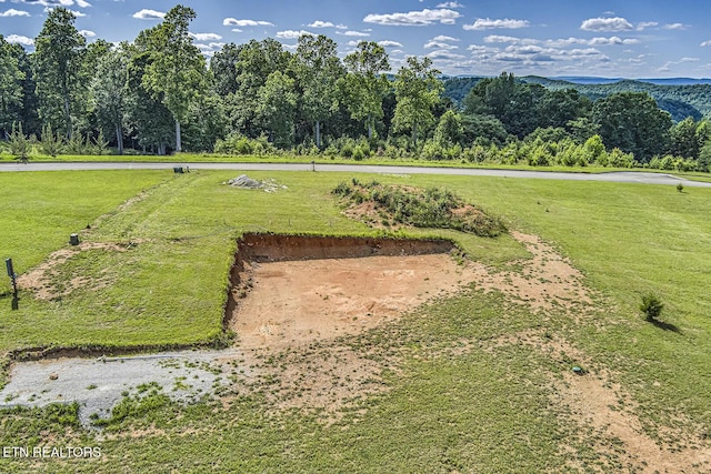 212 Melea Ln, Kingston, TN 37763