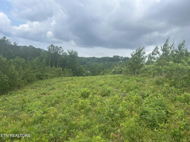 Three Point Rd, Vonore, TN 37885