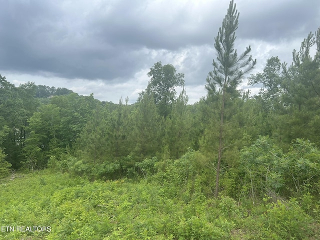 Three Point Rd, Vonore, TN 37885