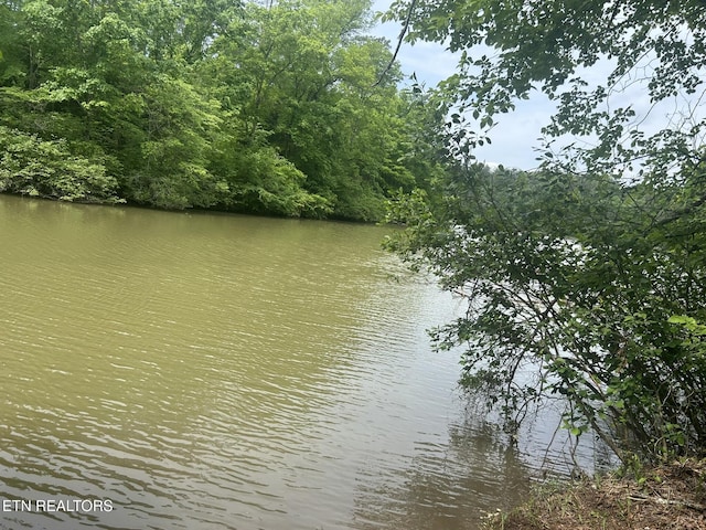 Three Point Rd, Vonore, TN 37885