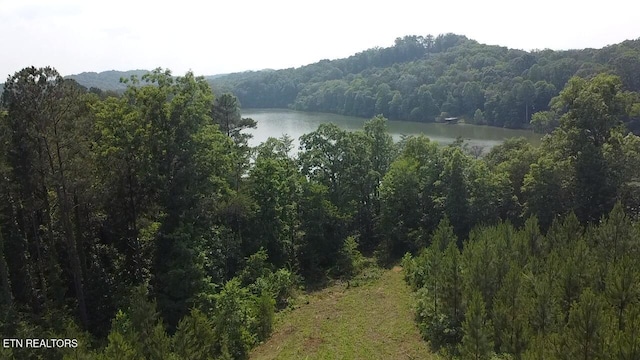 Three Point Rd, Vonore, TN 37885