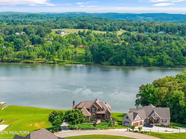 436 Silent River Ln, Loudon, TN 37774 - view from above of property with a large body of water and a forest