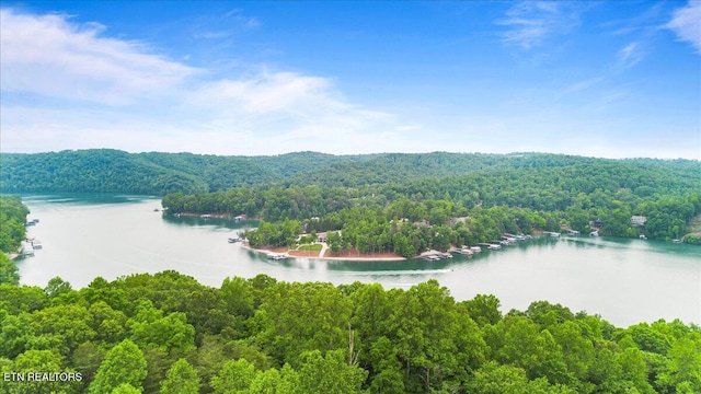 157 Chestnut Cir, Lafollette, TN 37766 - water view featuring a heavily wooded area