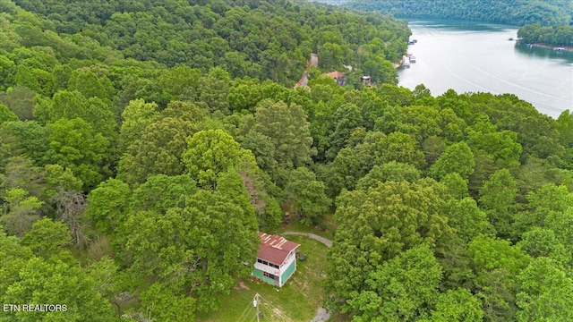157 Chestnut Cir, Lafollette, TN 37766 - bird's eye view of a forest and a nearby body of water