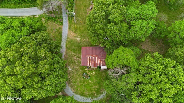157 Chestnut Cir, Lafollette, TN 37766 - view of property location