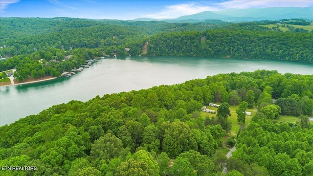 157 Chestnut Cir, Lafollette, TN 37766 - aerial view of a forest and a large body of water