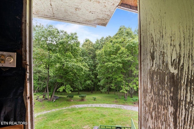 157 Chestnut Cir, Lafollette, TN 37766 - view of grassy yard