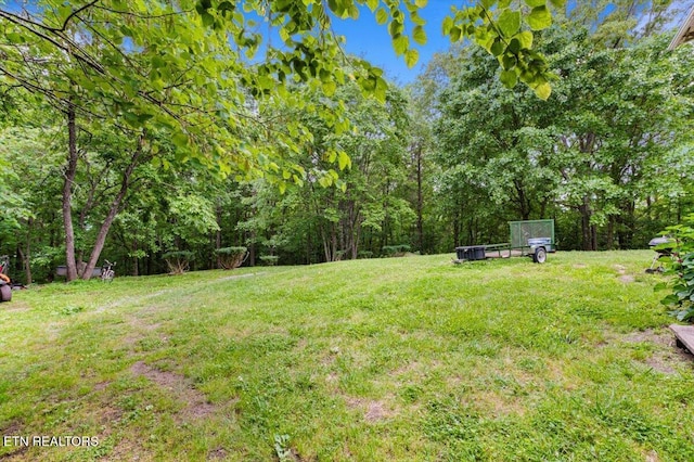 157 Chestnut Cir, Lafollette, TN 37766 - view of green lawn with a forest view