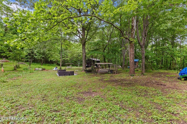 157 Chestnut Cir, Lafollette, TN 37766 - view of yard