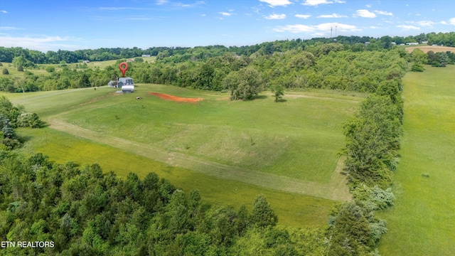 448 Trinity Rd, Morristown, TN 37814 - aerial view of a tree filled landscape