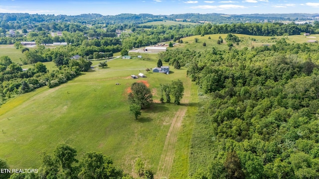448 Trinity Rd, Morristown, TN 37814 - bird's eye view