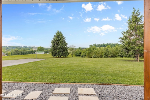 448 Trinity Rd, Morristown, TN 37814 - view of grassy yard