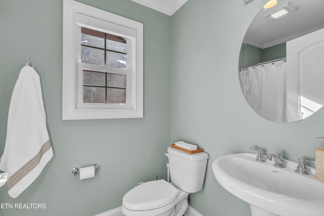 2034 Cherokee Dr, Maryville, TN 37801 - bathroom with a sink, baseboards, toilet, and ornamental molding