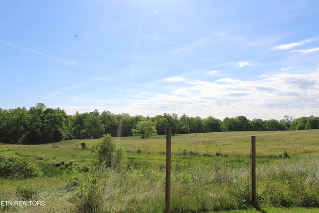 2160 Gatewood Ford Rd, Deer Lodge, TN 37726 - photo 12