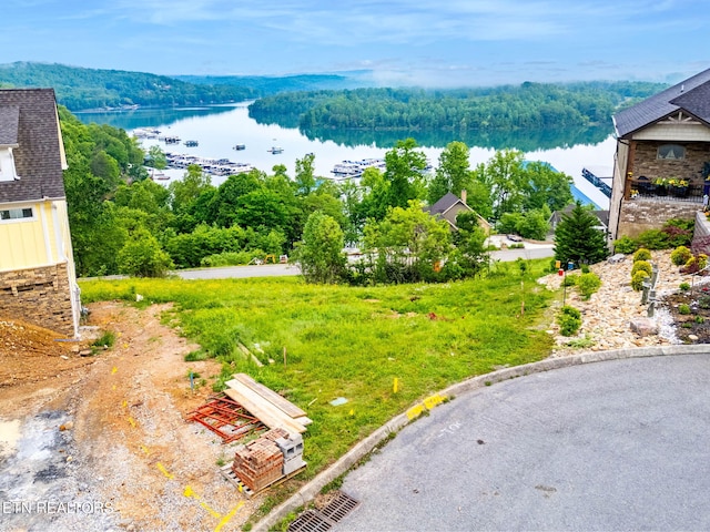 Anchor Ln, Andersonville, TN 37705 - photo 3