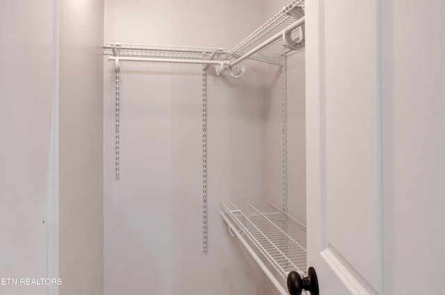 168 Misty Mountain Dr, Maryville, TN 37803 - view of spacious closet