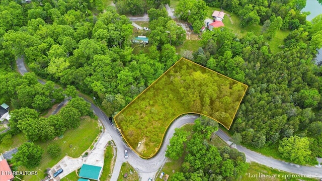 366 Shawnee Dr, Jacksboro, TN 37757
