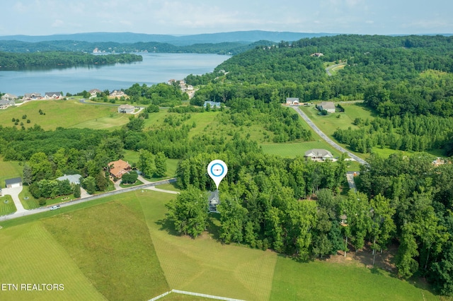 241 W Shore Dr, Rockwood, TN 37854 - photo 3