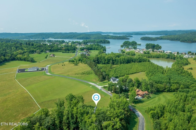 241 W Shore Dr, Rockwood, TN 37854 - photo 57