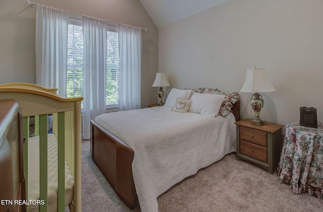241 W Shore Dr, Rockwood, TN 37854 - photo 42